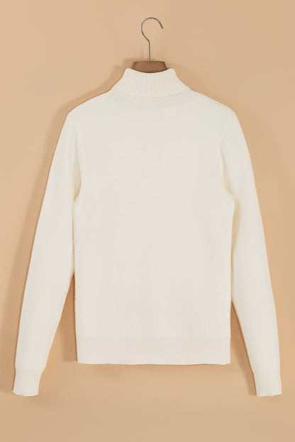 Macie Turtleneck Sweater