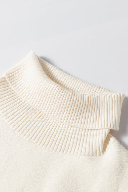 Macie Turtleneck Sweater